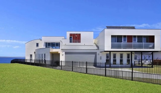 Albatross — a high set to ensure a perfect view