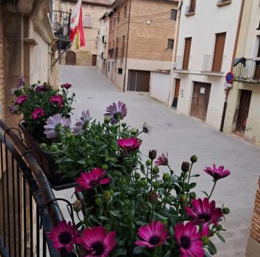 Albergue Casa Arqueña, sólo peregrinos