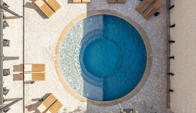 Albert Hotel, Bunk Suite | Pet-Friendly Stay with Access to Outdoor Pool