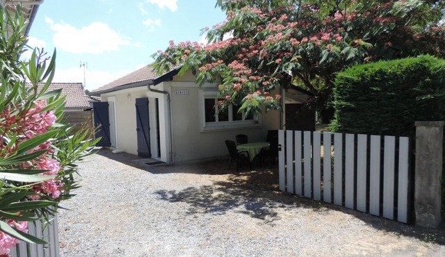 Albizzia - Ste-eulalie-en-born