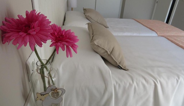 Alcañiz Flats I