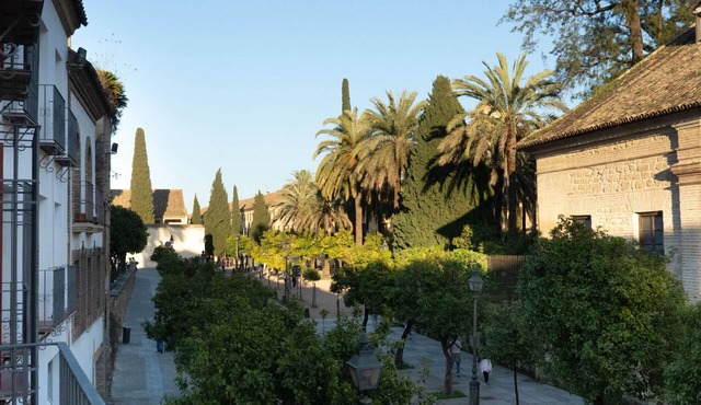 Alcazar Historical Center IV