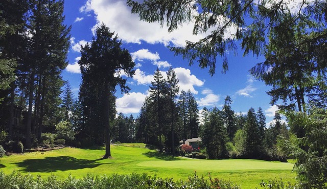 Alderbrook Golf Retreat - with AC, fast Wi-Fi, and EV charger