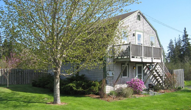 Aldernest Den - Mount Desert Island/Acadia -walk across the lawn down to shore