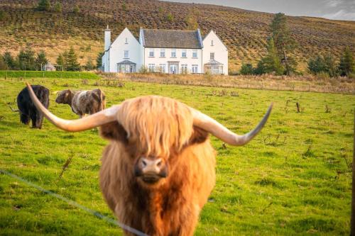 Alexander House 24 - Self Catering