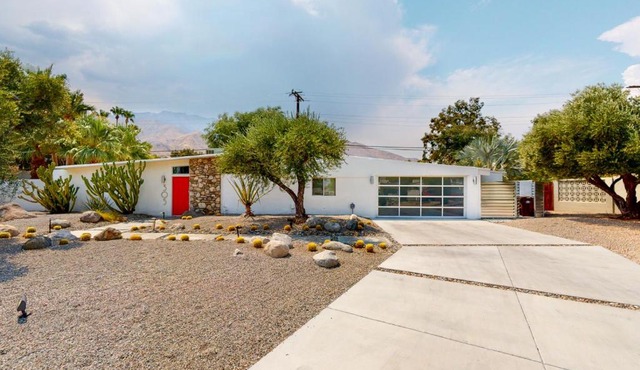 Alexander in the Sun Permit# 3875