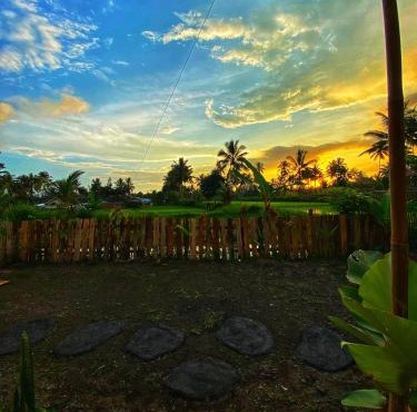Alfarizi homestay