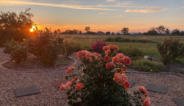 Ali's Place - Art and Views Gippsland