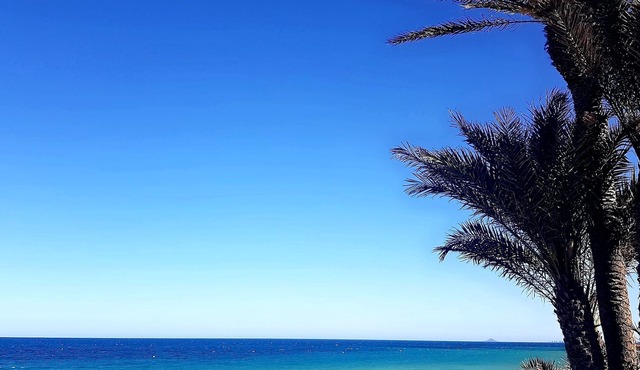 Alicante Playa Mil Palmeras 🇪🇦 Sea view, beach front 🏝🍹Studio 3 pers.