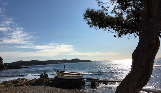 "Alienor, a charming apartment in a pine forest