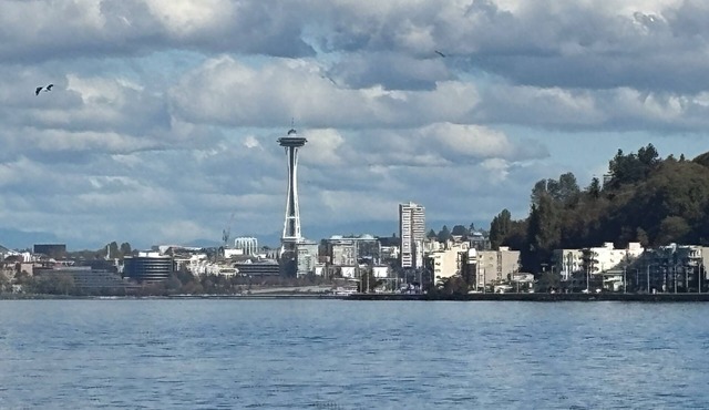 Alki Beach modern and cozy 3 bdrm home near dining, Lumen and T-Mobile park.