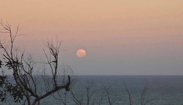 Alkira Ridge Sunrise at 1770