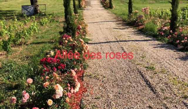 Allée des roses L’atelier