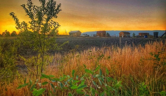 All 4 Triple View Tiny Homes