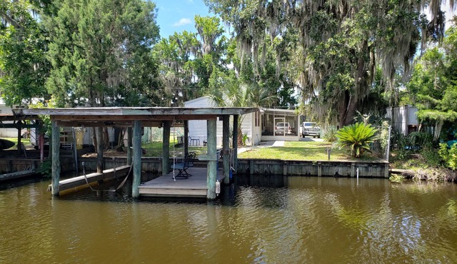 All about the water #3 of 3-Pet-friendly!
