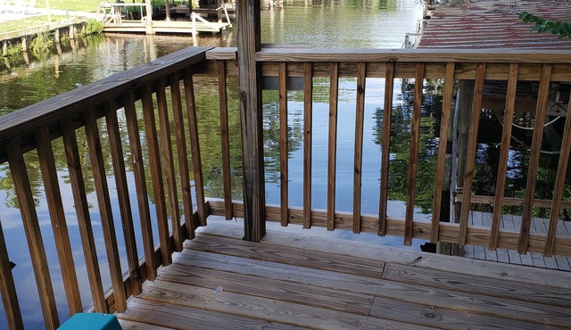 All about the water #2 of 3-Pet-friendly!