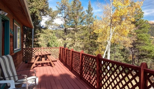All New inside Cabin Near Cripple Creek & Colorado Springs