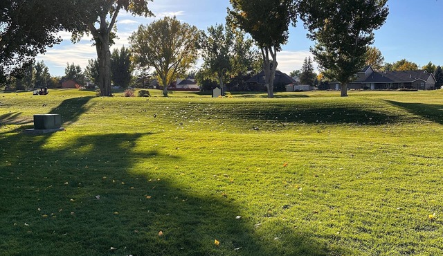 All of Paradise Tee’s