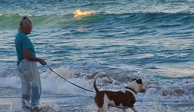 ALL Pets Welcome, Private Beach, Tiki Hut, Fenced Yard