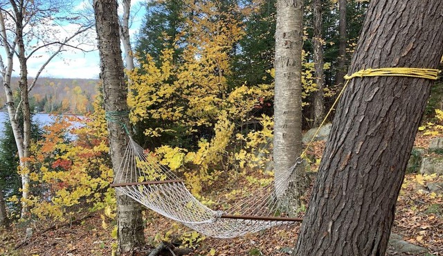 All Season Muskoka Cottage
