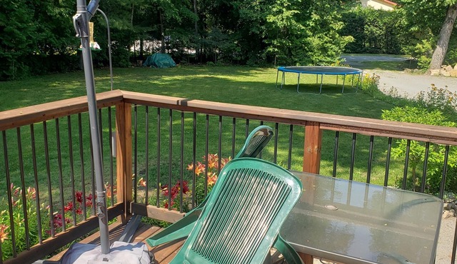 All seasons cottage on Balsam lake near Balsam lake provincial park