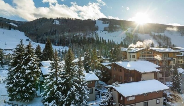 All Seasons Great Condo that is close to Gondola by RedAwning