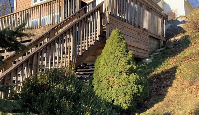 All Sports Lakefront Cottage