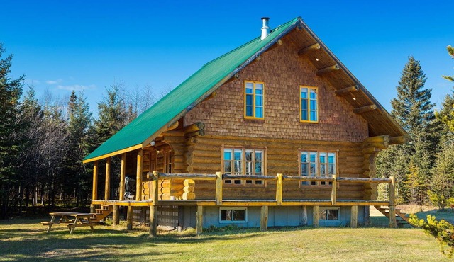 All wood-dressed chalet