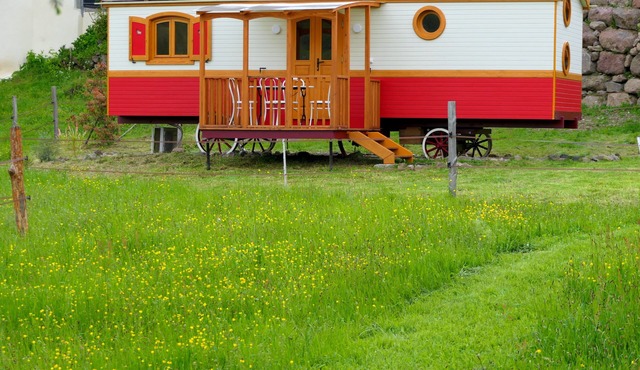 All-wood trailer : "Le gîte-donkeys"