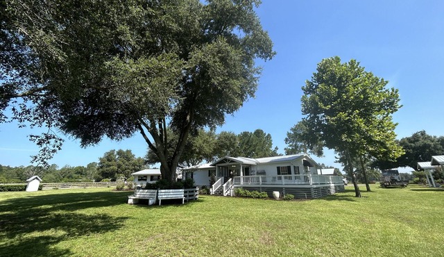 All You Ever Wanted "The White House"