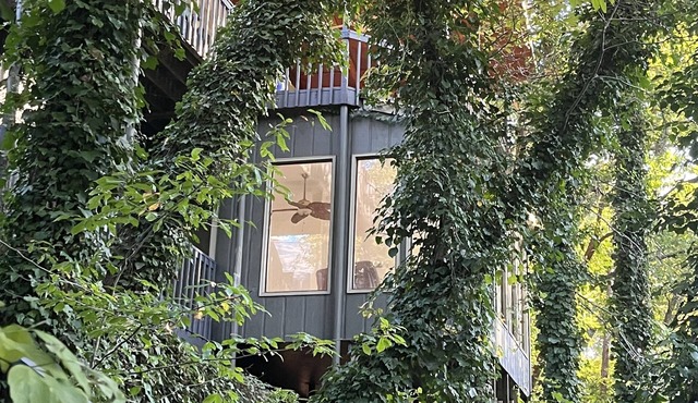 Allatoona LakeFront Great View&w/Dock,sleeps10adults/2 kids,Deck-7mi @LakePoint!