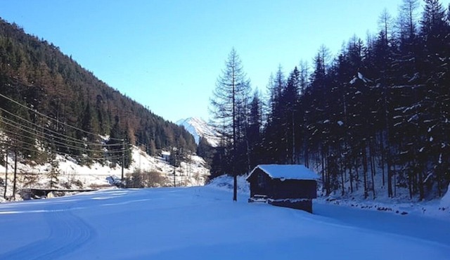 Alleinstehende, idyllische Wohnung an guter Lage!