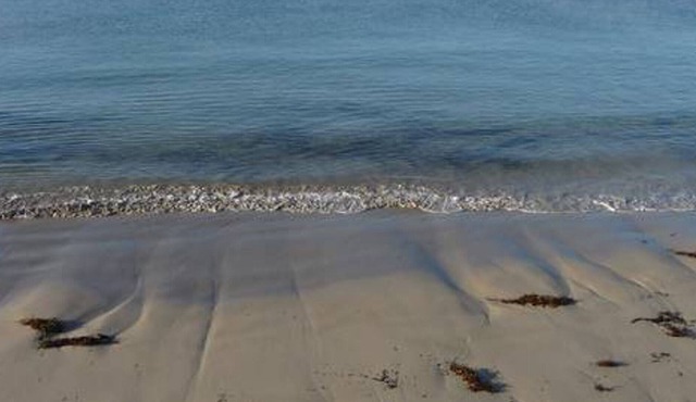 ALLESTREE ESCAPE - Ultimate Seaside Escape