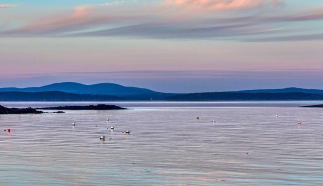 Alluring home with full kitchen, furnished patio, washer/dryer & private yard