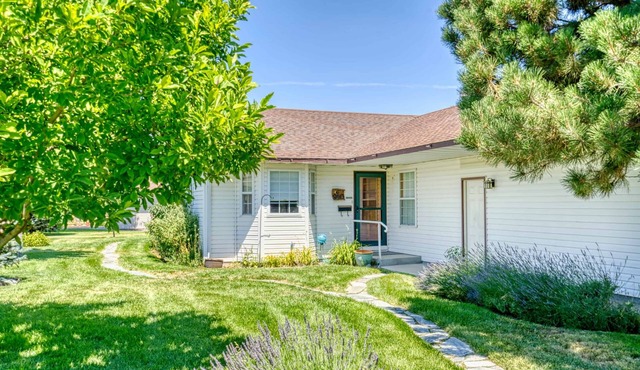 Ally's Peace of Mind