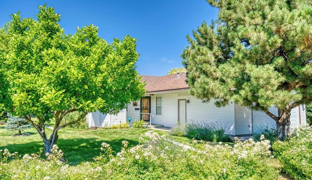 Ally's Peace of Mind