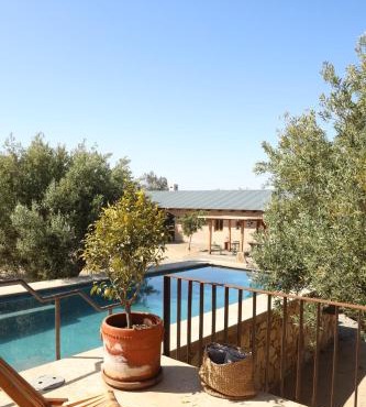 Alma Liebre Viñedos del Valle