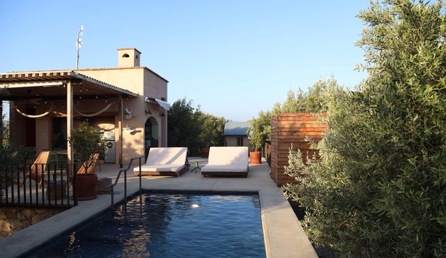 Alma Liebre Viñedos del Valle