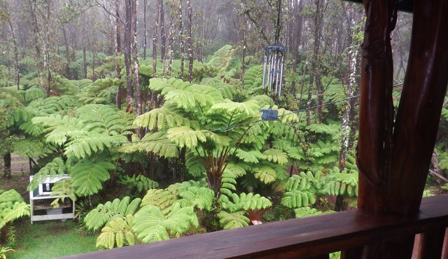 Aloha Crater Lodge and Lava Tube