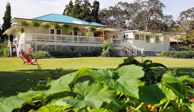 Aloha Junction Guesthouse Suites, stay and explore Kilauea Volcano Hawaii.