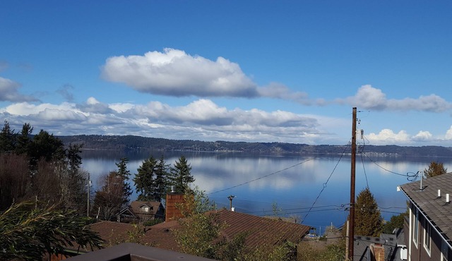 *Aloha Tiny House* Puget Sound Views