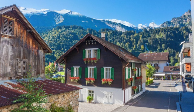 ALP APARTMENTS with self check-in