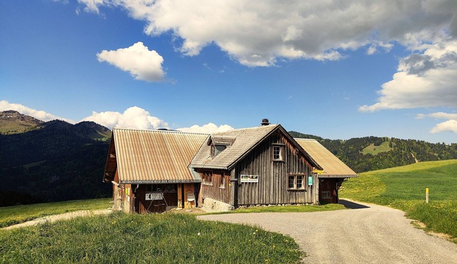 Alp-Ell with view of the Säntis