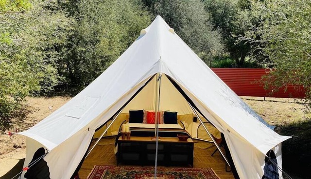 Alpaca Farm Glamping Tent