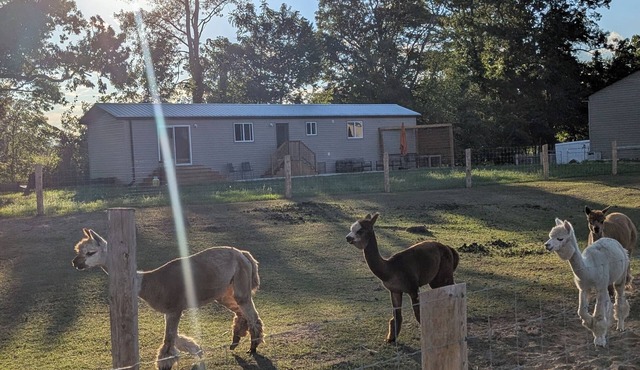 Alpaca Farm Retreat – Cozy 2BR Stay on Kloud 9 Haven, Near Beach & Wineries