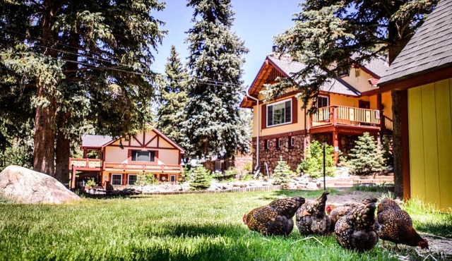 Alpen Way Chalet Mountain Lodge