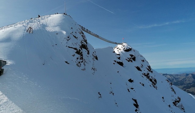 Alpenchalet Weidhaus