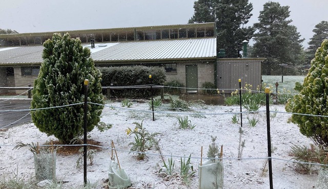 Alpine Activity centre Lodge in Jindbyne sleeps up 90 people in shared facitlies