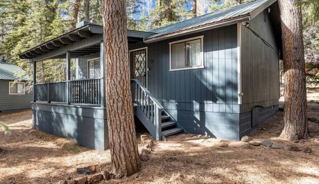 Alpine Aspen Cabin 5