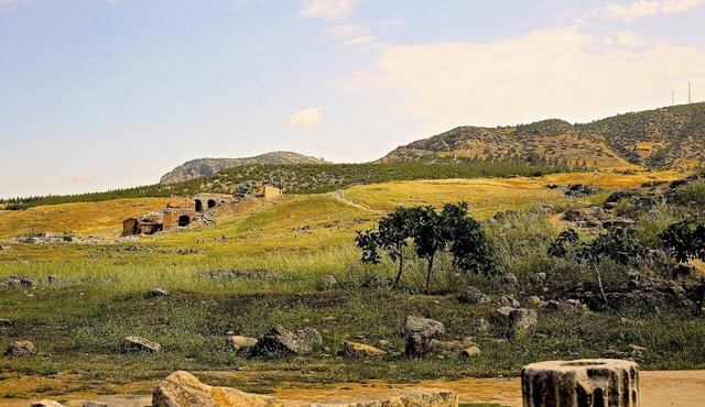 Alpine bliss in Issaquah